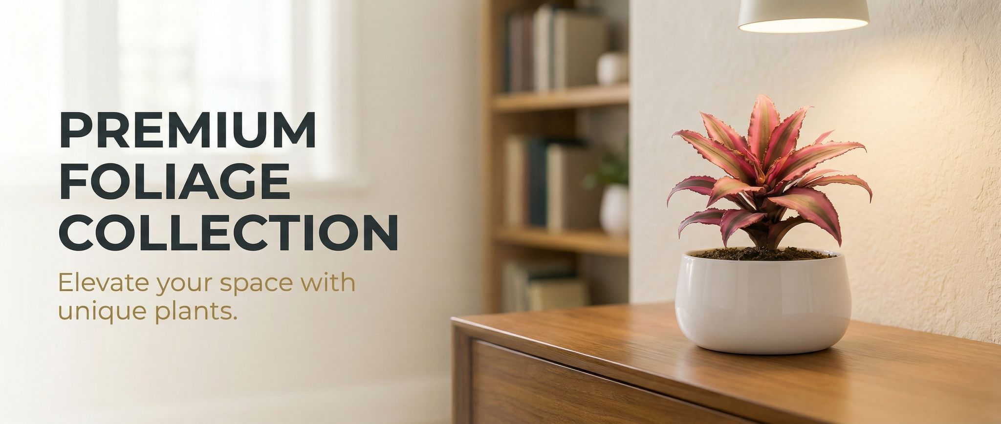 seller banner desktop