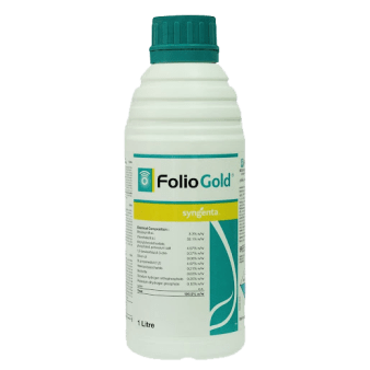 FOLIO GOLD