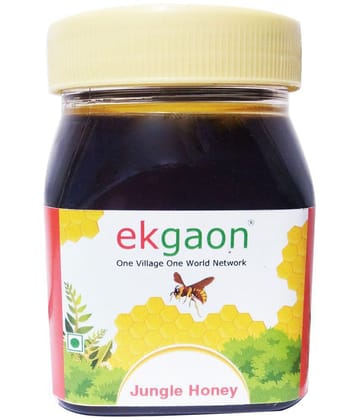 Ekgaon Honey Jungle Honey 500 Pack of 2