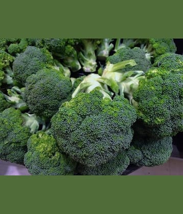 HN organic seed - Broccoli Vegetable ( 50 Seeds )