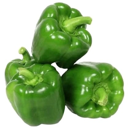 Capsicum 