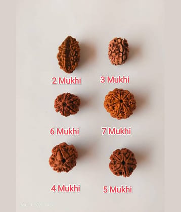 VIDHAN ART Bead ( Pack of 6 )