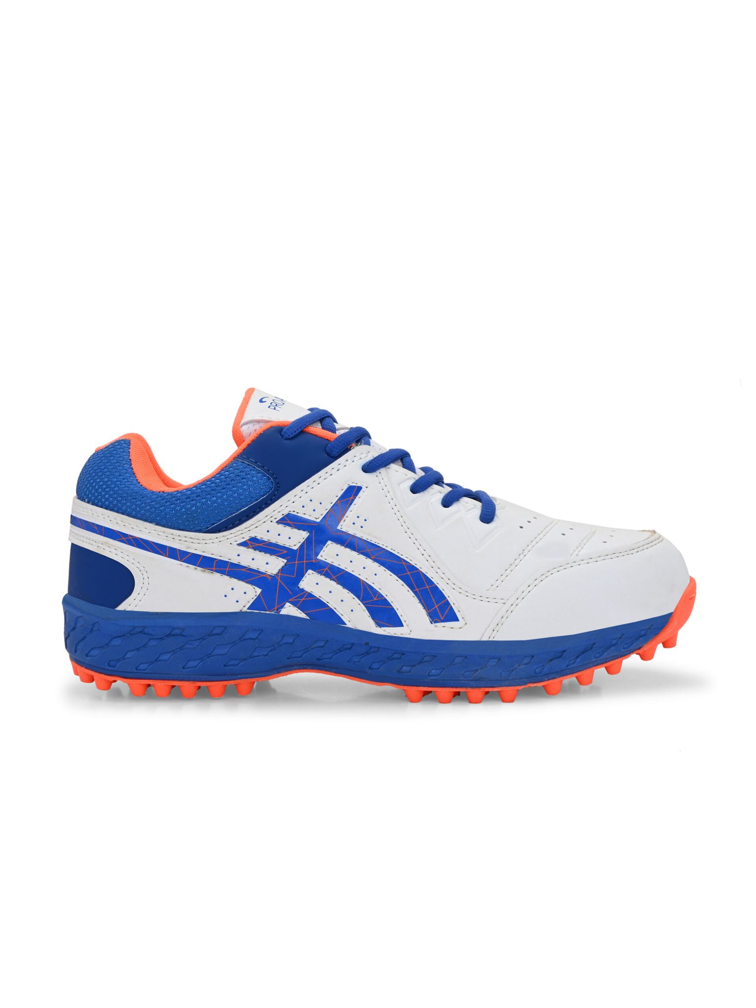 CG-111 CRICKET Sports Shoes