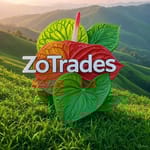 ZoTrades