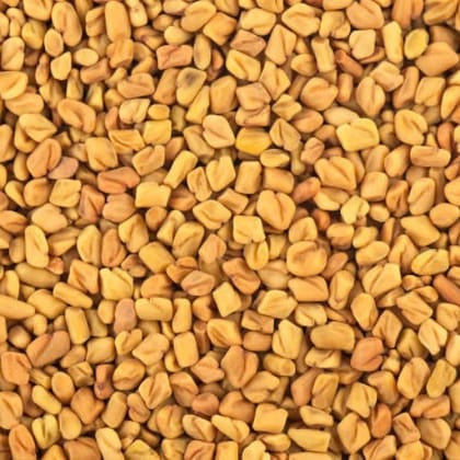 fenugreek seed (Methi Dana) 250