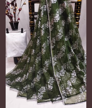 Parmila Fashion Organza Embellished Saree With Unstitched Blouse Piece ( Olive )