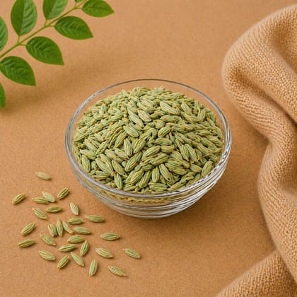 Big Green Fennel Seeds Saunf (100g) | Aromatic & Sweet Flavor | Digestive Aid & Culinary Use