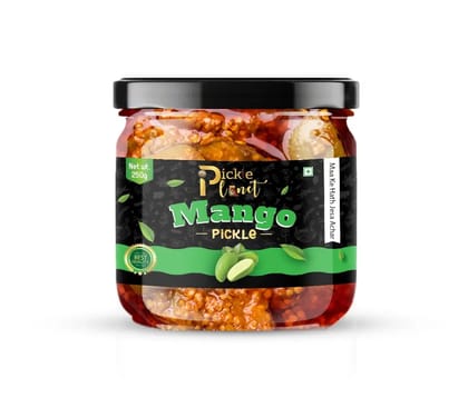 Pickle Planet Mango Pickle | Homemade Pickle | Authentic, Tangy & Delicious Pickle | No Artificial Color and Flavors | Gluten Free | Aam ka achar (250g)