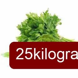 Coriander Leaf Powder (25kg) | Spray Dried Herb Extract | Instant Flavor & Aromatic Garnish