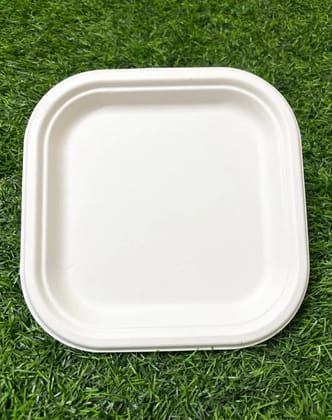 1D Square TRAY Pack of 25