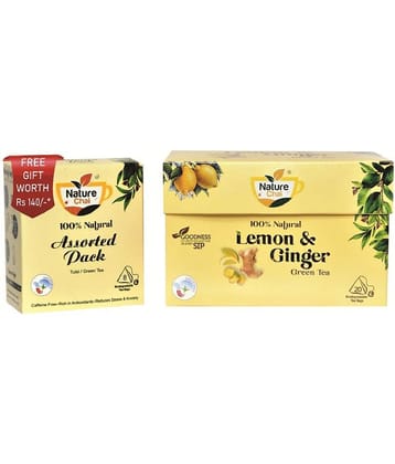 NATURE CHAI Ginger Tea Bags 20 no.s