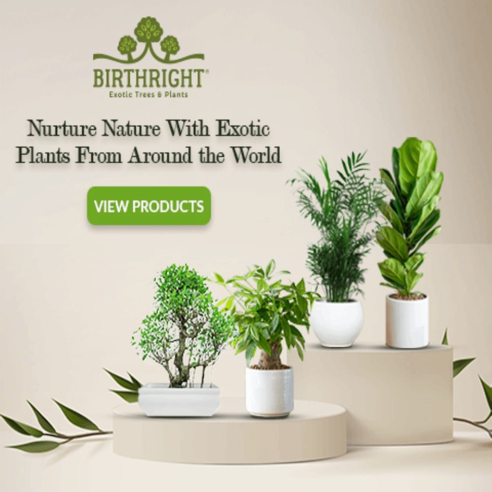Birthright || Tools Kit