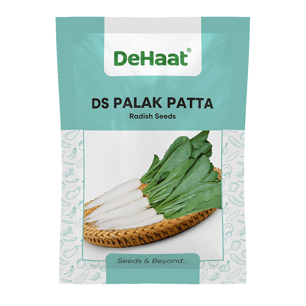DS PALAK PATTA DEHAAT RADISH SEEDS