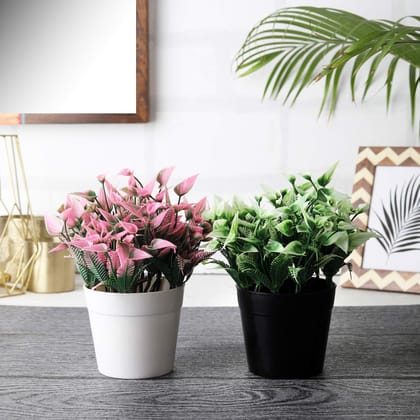 Foliyaj Combo of 2 Artificial Plant Bonsai Tree with Pot for Home Decor Living Room Office (13 cm x 13 cm x 19 cm, FYJ-C-POTBW-CLUSWHTPNKFLW)