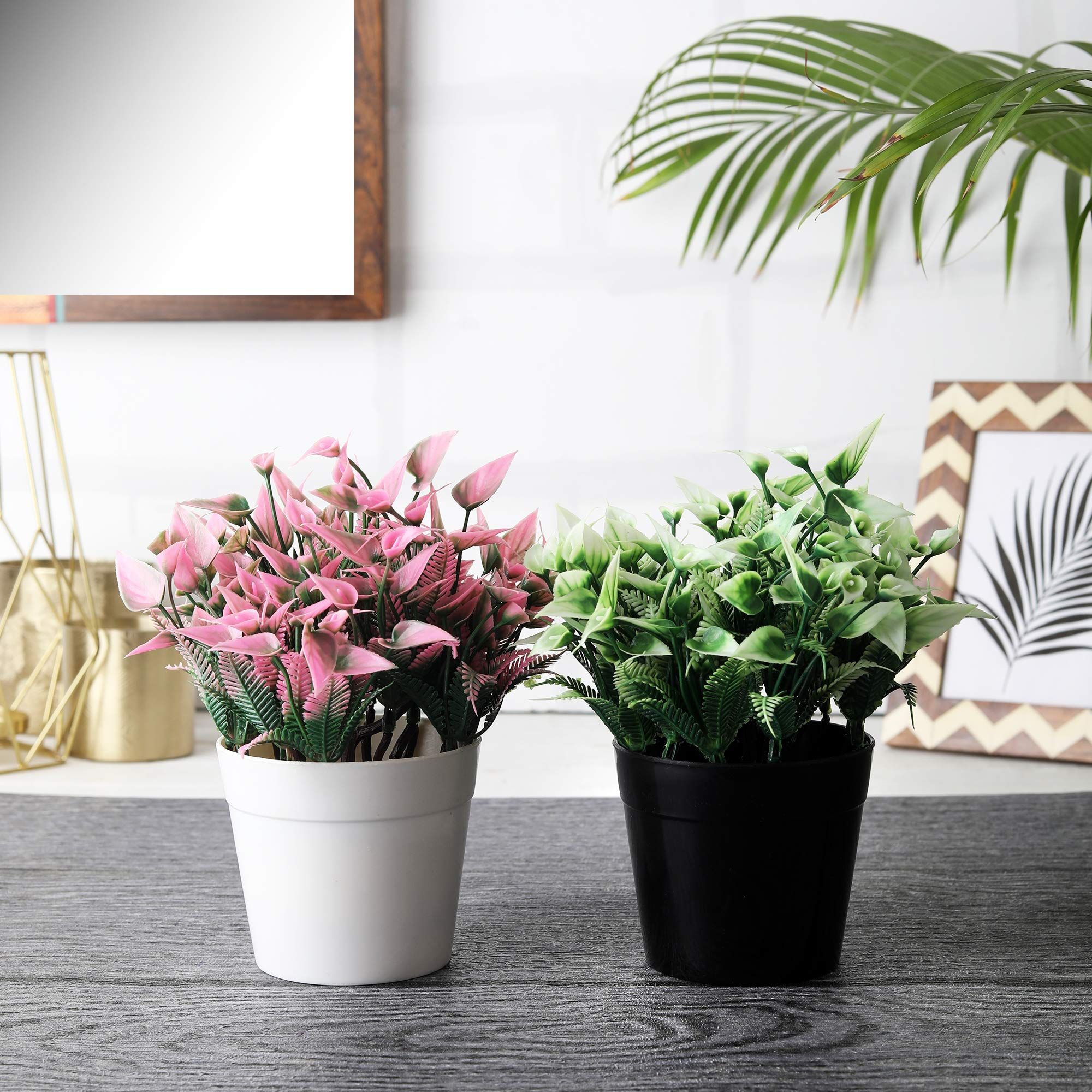 Foliyaj Combo of 2 Artificial Plant Bonsai Tree with Pot for Home Decor Living Room Office (13 cm x 13 cm x 19 cm, FYJ-C-POTBW-CLUSWHTPNKFLW)