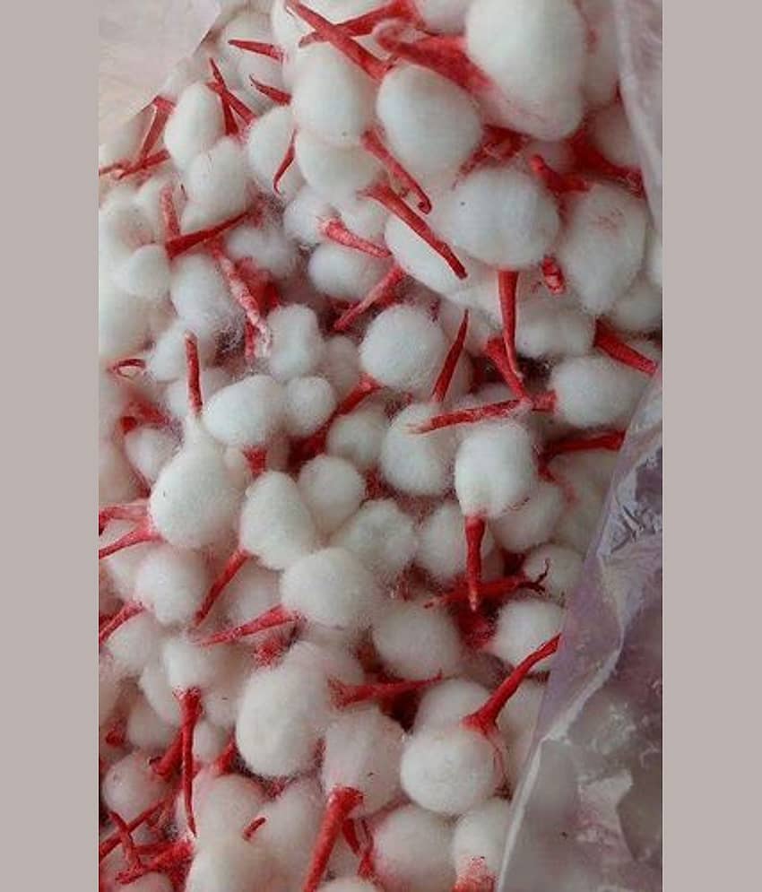 Cotton Wick Cotton Diya Batti for diya (1 Packet)