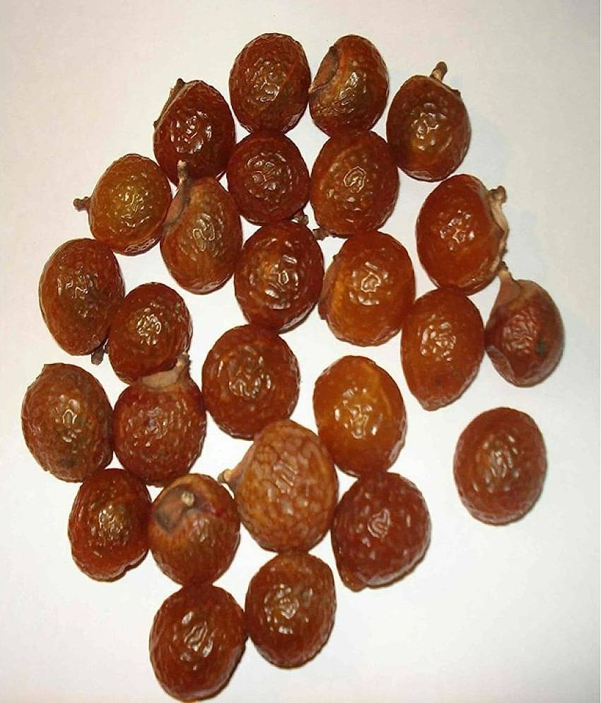 MYGODGIFT Organic Whole Dried Reetha/Ritha/Arith/Areetha Raw Form For Hairs 200 gm