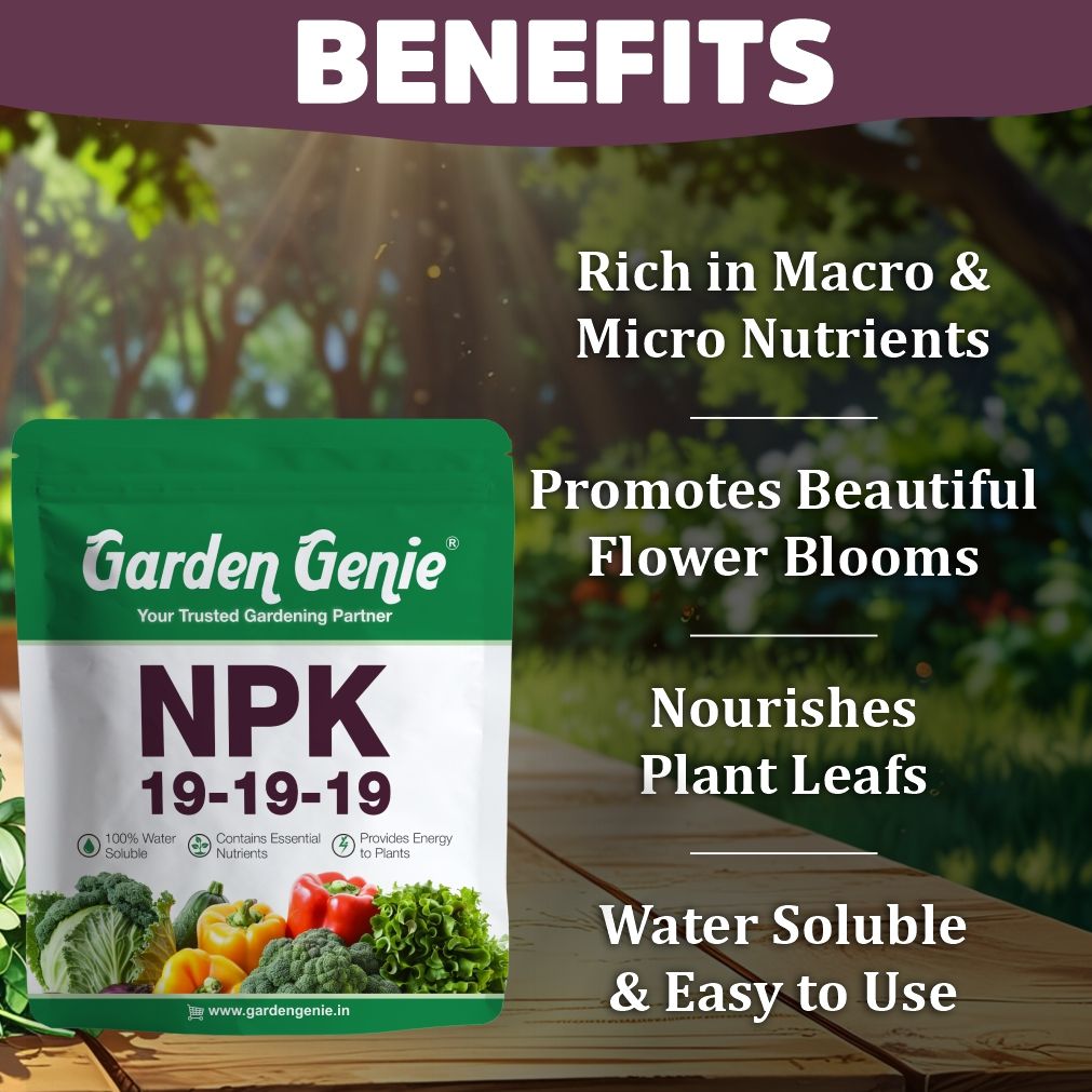 Garden Genie Npk 19 19 19 Fertilizer For Plants 800g I 100% Water Soluble I Complete Plant Food For Gardening, Growth Boost and Flowering, Powder
