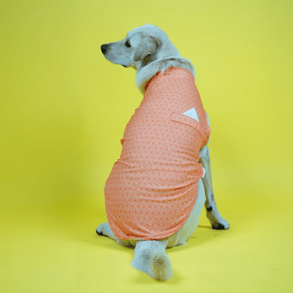 Skatrs Marigold Mandala Printed Kurta for Dogs and Cats (Orange) - M