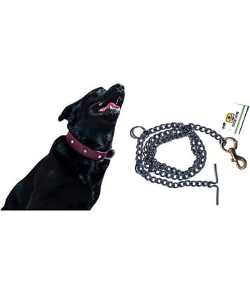 Tame Love Premium quality imported stone stud fancy Collar leash for giant dogs (1.25 inches) available in Pink color and Brass Hook Stainless Steel Leash for dog (152 cm)