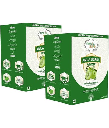 Nature Sure Amla Powder 300 gm
