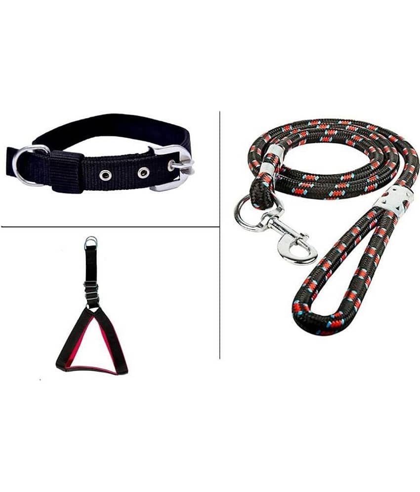 Tame Love - Black Dog Combo (Large)