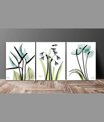 Saf - Art Prints With Frame
