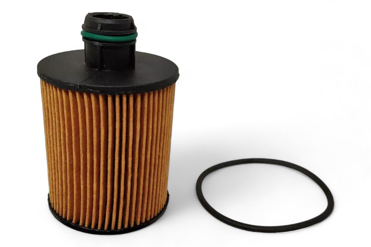 Chevrolet Oil Filter AV701901