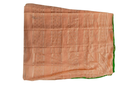 Elegant Orange Saree with Green Design Blouse