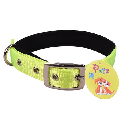Petz Pure Nylon Padded Collar 1.25 inch Light Green 25mm Petz Pure Nylon Padded Collar 1.25 inch Light Green 25mm