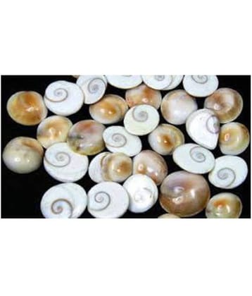 GOMTI CHAKRA SET OF 21 PCS