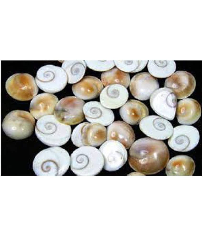 GOMTI CHAKRA SET OF 21 PCS