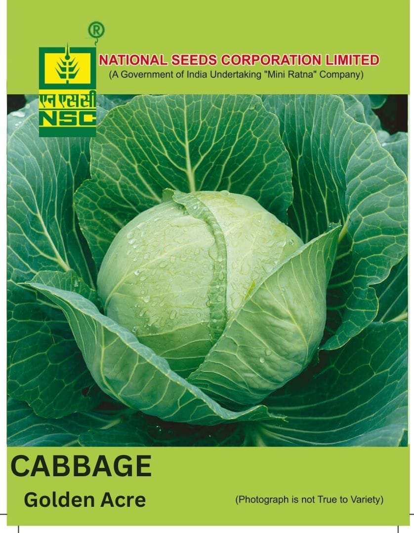 NSC Cabbage Golden Acre, 5gm