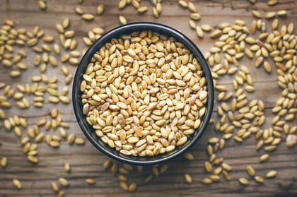 Wheat Grain 5  kg