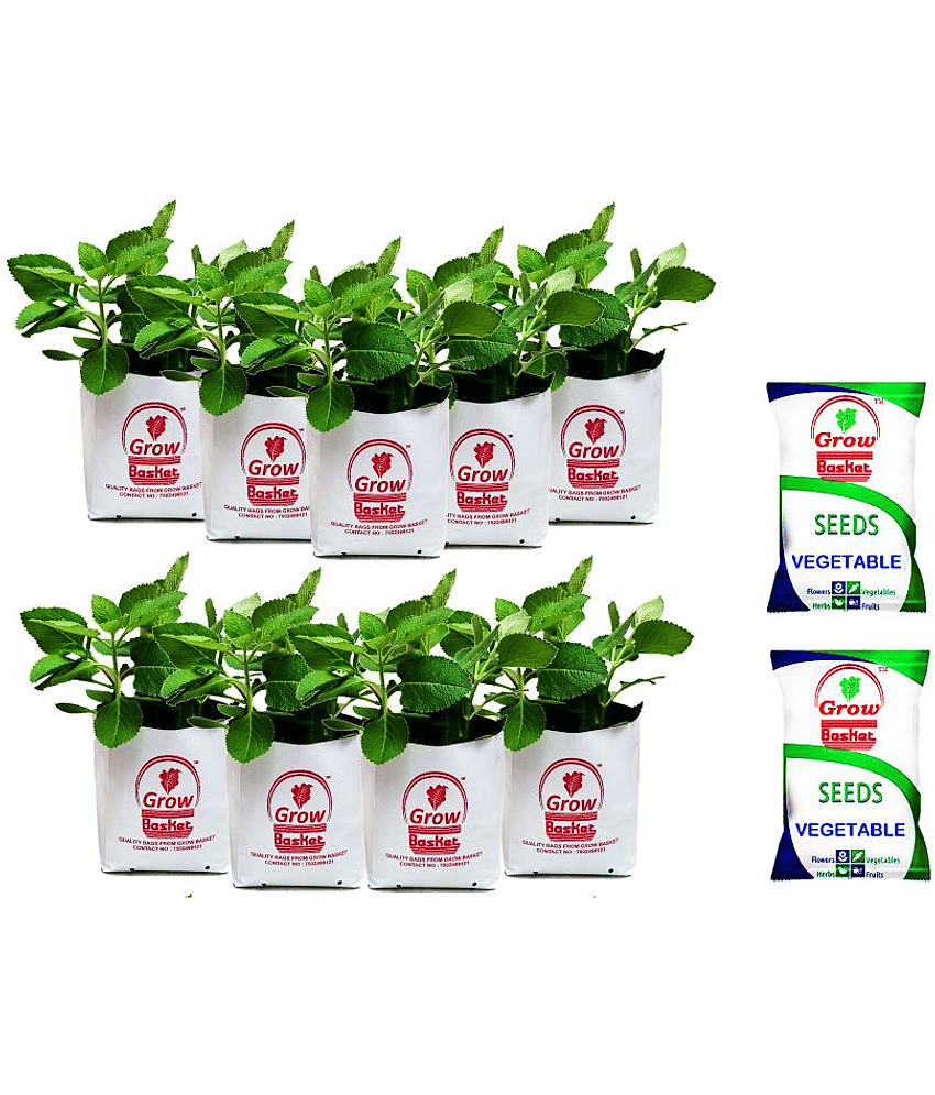 Grow bag with seed packet size: 40x24x24cm - pack of 9 bags with 2 seeds