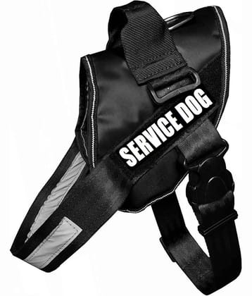 Petshop7 Black Harness ( Medium )