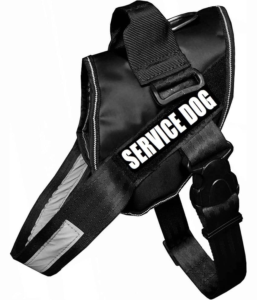 Petshop7 Black Harness ( Medium )