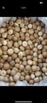 HERBEX EXPORT INDIA