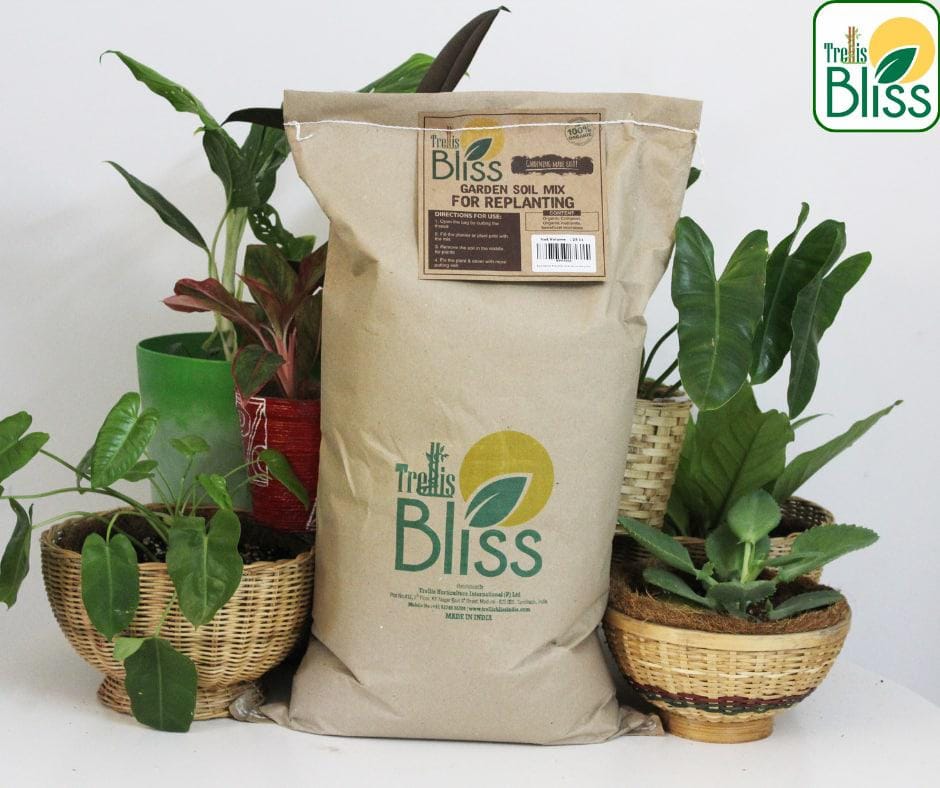 Trellis Bliss Enriched Garden Soil Mix (25Litres)