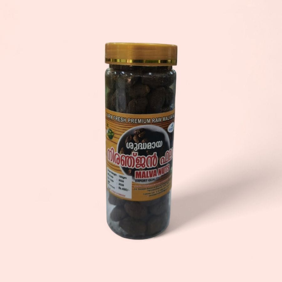 Raw Malva Nuts - 150 gm - 150 gm - One jar of Malva Nuts