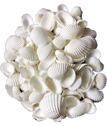 DS1 - Natural Decorative