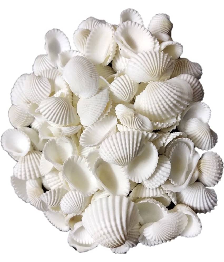 DS1 - Natural Decorative