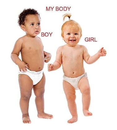 Kiddy Board Book - My Body [Board book] Dreamland Publications