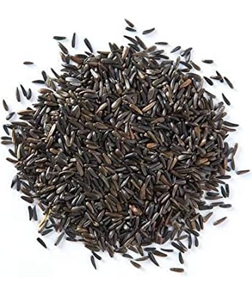 Nutrixia Food Niger Seed/रामतिल/Ramtil/Bird Food Raw Herbs 100 gm Pack Of 1