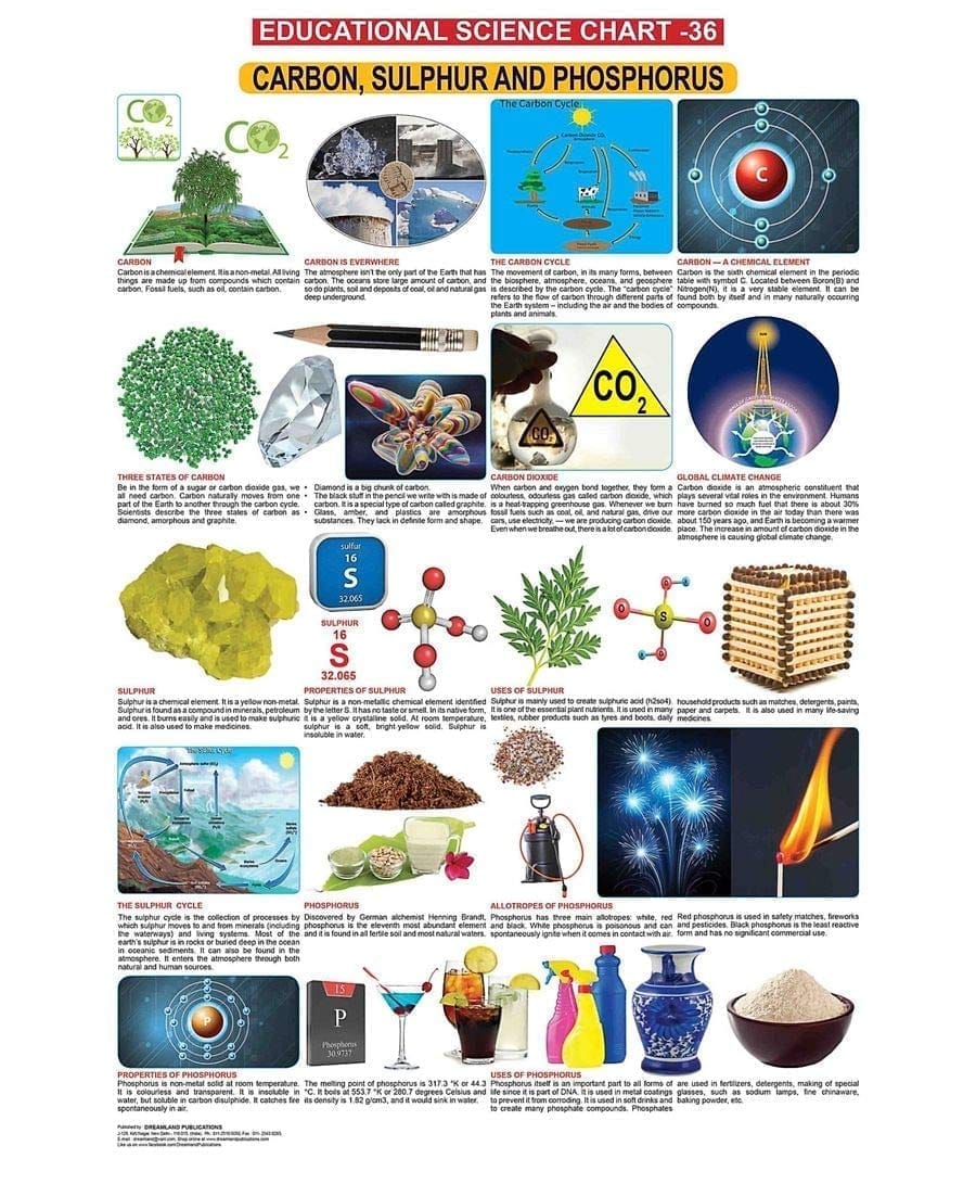 Carbon, Sulphur & Phosphorus Wall Chart (Science Chart) - Both Side Hard Laminated (Size 48 x 73 cm) [Poster] Dreamland Publications