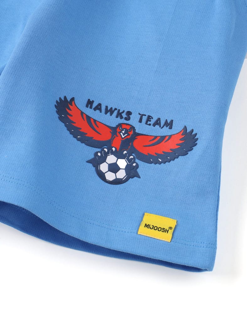 Sophisticated Kids Boys Shorts Cotton French Terry All Aboard Blue Hawks Eagle 2025 at ShopCircu
