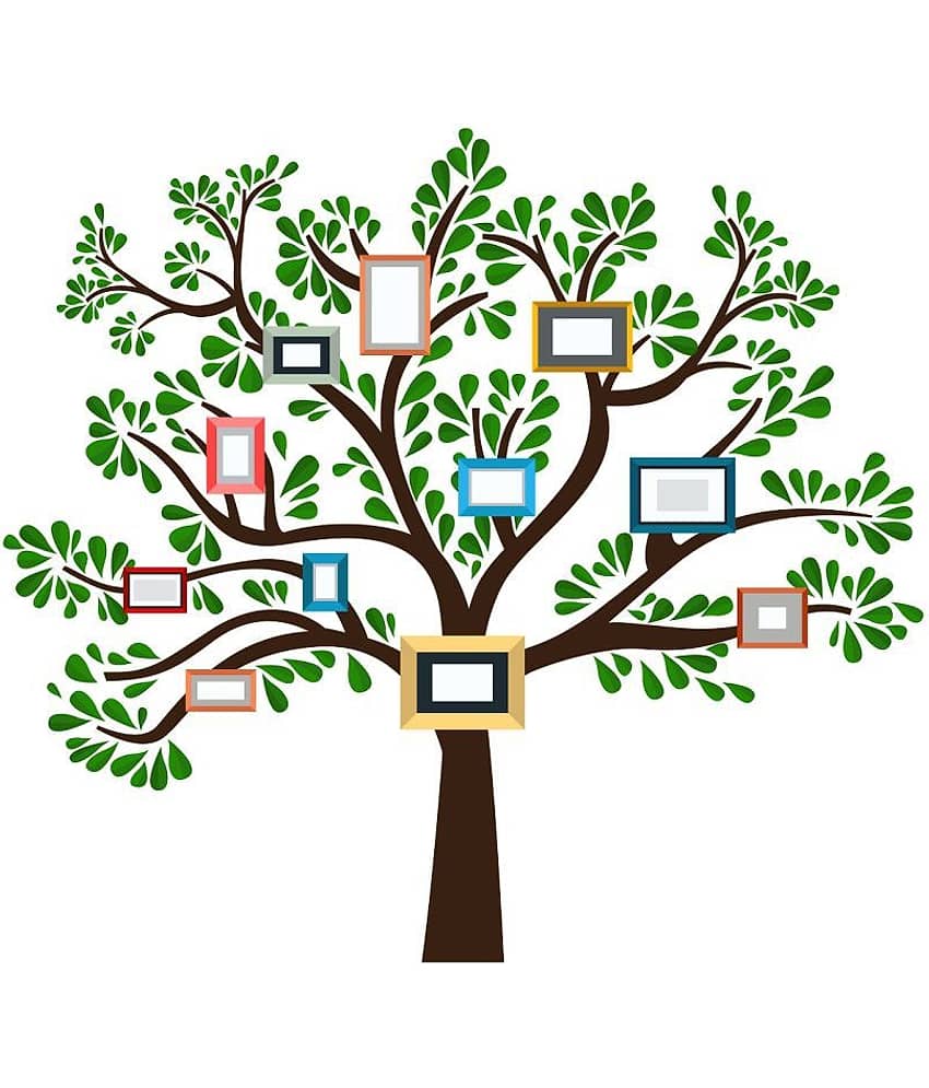 Wallzone Big Photo Tree Sticker ( 120 x 100 cms )