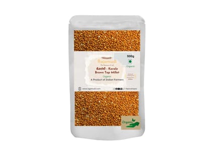 Brown Top Millet ( KORALE ) - 500 Gram