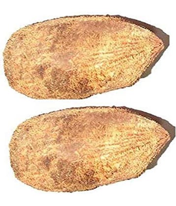 PADMAVATHI ENTERPRISES - Ekakshi Nariyal - Ekakshee - One Eyed Coconut For Pooja - Pack Of 2