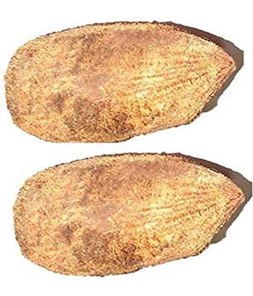 PADMAVATHI ENTERPRISES - Ekakshi Nariyal - Ekakshee - One Eyed Coconut For Pooja - Pack Of 2